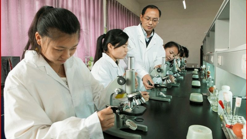 在定制粉剂包装时，需考虑以下因素：