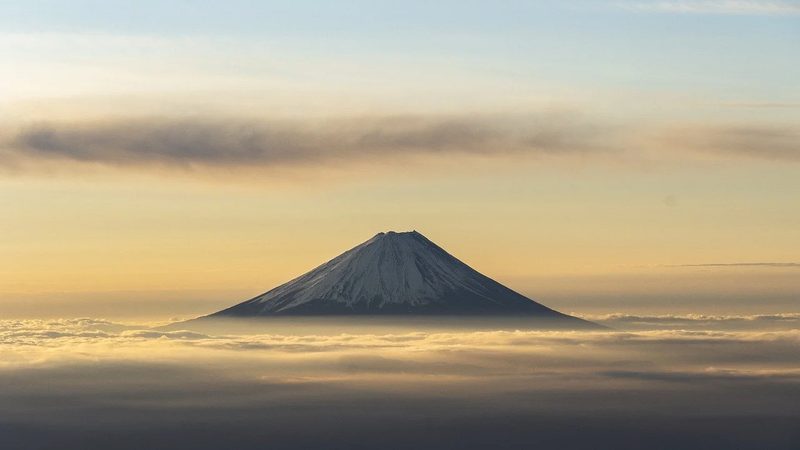 中药提取物国家标准的制定主要依据以下几方面：
