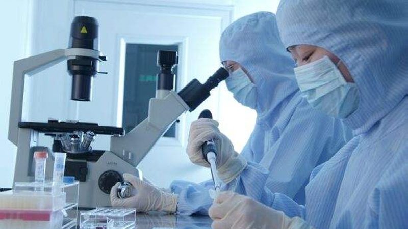 制药设备与食品设备：本质区别与关键考量