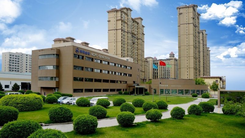 医药公司批发报价单：格式解析与关键要素