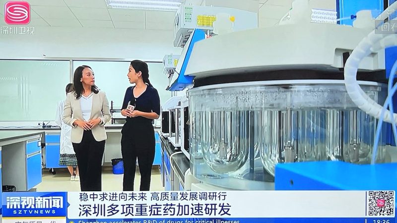 中药材炖汤搭配入门：四大原则助你养生之道**